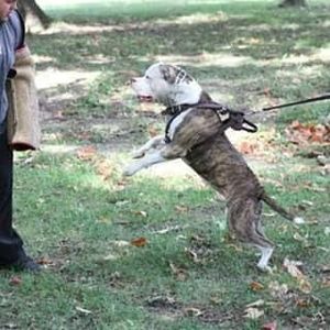 Meet your Posher, Clelland